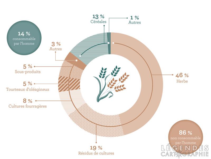 L'alimentation animale