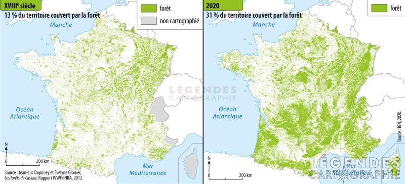 Les forêts en France